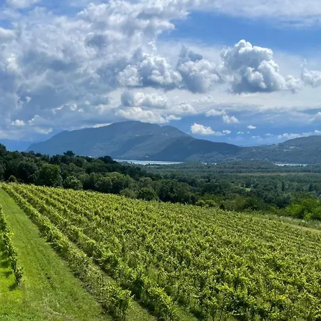 Dans Un Vignoble Apartmán *