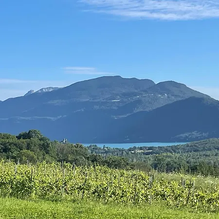 Dans Un Vignoble *